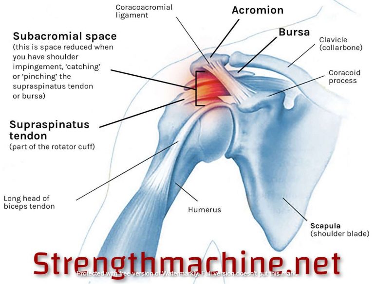 Read more about the article Top 5 Shoulder Impingement Exercises and Stretches